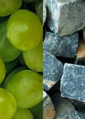 Architekturpreis Wein 2013 in Stuttgart verliehen