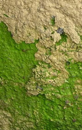 Fraunhofer-IBP erforscht umweltfreundliche WDV-Systeme für Bestandsbauten