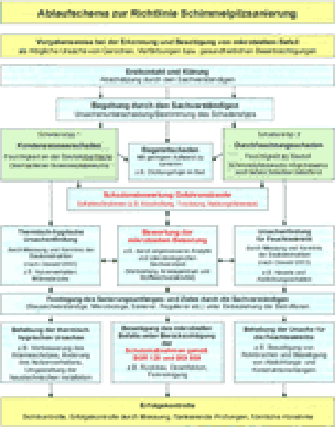 Ablaufschema zur Schimmelpilzsanierung aus der Richtlinie zum sachgerechten Umgang mit Schimmelpilzen in Gebäuden