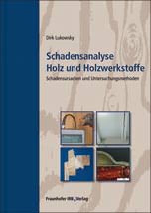 Schadensanalyse Holz und Holzwerkstoffe