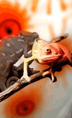 Architekturstudenten entwickeln Chamäleon-Fassade