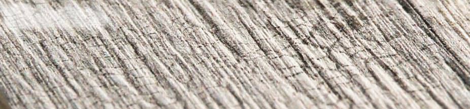 Neues Schiebetür-System für Wohnraum und Objekt