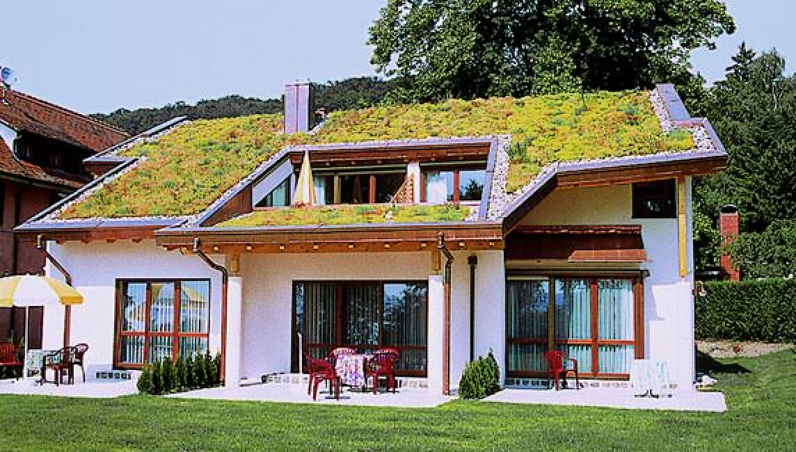 Einfamilienhaus mit schräger Dachbegrünung / mit geneigtem Gründach