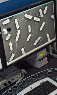 Krankenhauskeime mögen keine nanorauen Oberflächen