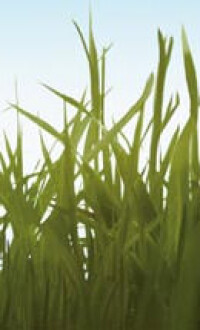 Wärmepumpen-Markt 2013: In jedem dritten Neubau eine elektrische Wärmepumpe