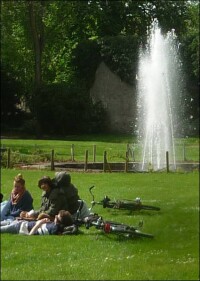 Grüne Erfolgswelle im GaLaBau: über 200 Mio. Euro Umsatzplus 2013