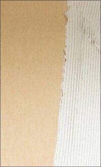 Neue Putzträgerplatte und neues Putzsystem von Steico