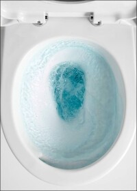 Hygienegutachten: „Neues WC CF von TOTO ist ideal geeignet für öffentliche Gebäude“