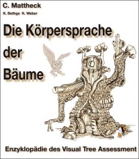 Körpersprache der Bäume: Visual Tree Assessment (VTA) optimiert Leichtbau