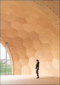 „Forstpavillon“: Von Robotern gefertigte Holzschalenkonstruktion als Ausstellungsgebäude