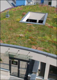 Ergebnisse der Städte-Umfrage 2014 zur Förderung der Bauwerksbegrünung