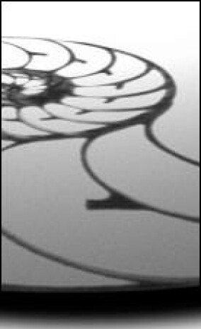 Deutscher Innenarchitektur Preis 2014 entschieden!