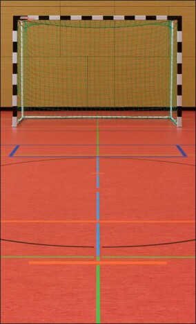 DLW Sports Linoleum bringt Farbe in die Dreifeldsporthalle Hamburg Bergedorf