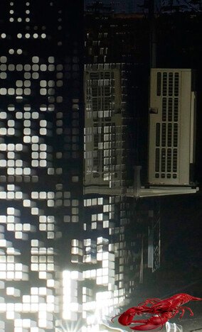 KITs LOBSTER verspricht keine Gaumenfreuden aber raumklimatisches Wohlbefinden