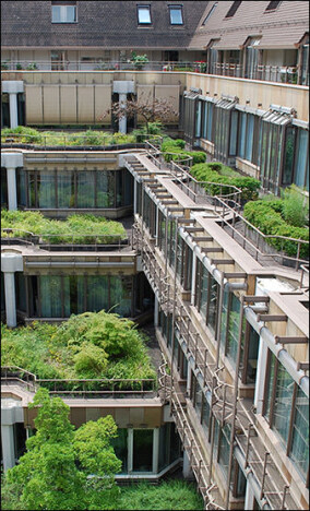 30 Jahre alte Dachbegrünung zweifach Gründach des Jahres 2014