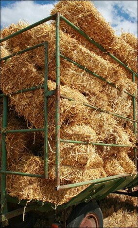 Erweiterte Zulassung macht Dämmen mit Baustroh für weitere Zielgruppen attraktiv