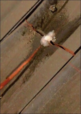 TÜV-Prüflabor für Hagelschlagprüfung als erstes durch die Schweiz anerkannt 