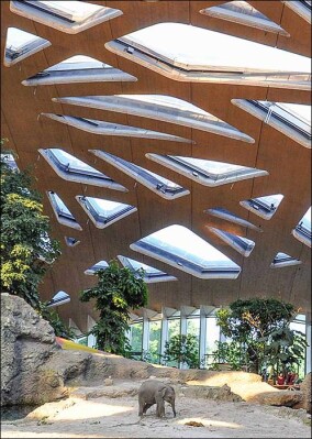 Ulrich Finsterwalder Ingenieurbaupreis 2015 für Elefantenpark im Zoo Zürich