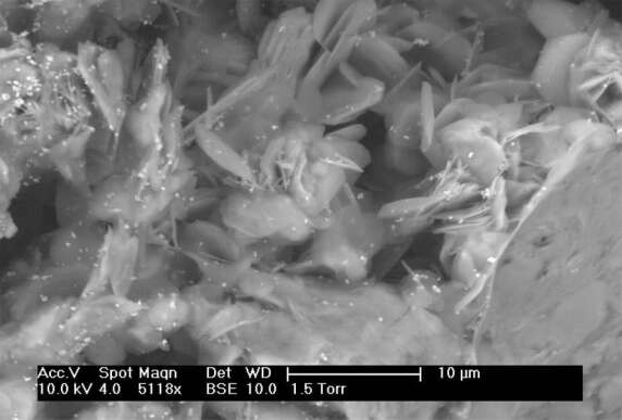 In 5.000-facher Vergrößerung zeigt die Rasterelektronenmikroskop-Aufnahme sowohl bei der Kalkfarbe (in diesem Bild) als auch bei der Dispersionssilikatfarbe den porösen Beschichtungsfilm, der eine gute Wasserdampfdurchlässigkeit ermöglicht. (Bild: Empa)