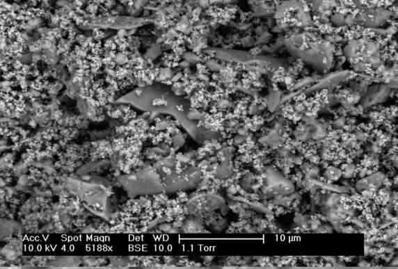 In 5.000-facher Vergrößerung zeigt die Rasterelektronenmikroskop-Aufnahme sowohl bei der Kalkfarbe als auch bei der Dispersionssilikatfarbe (in diesem Bild) den porösen Beschichtungsfilm, der eine gute Wasserdampfdurchlässigkeit ermöglicht. (Bild: Empa)