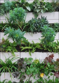 Unika erforscht mit Partnern vertikale Begrünung mit speziellen Kalksandstein-Elementen