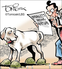 Hundekratzer im Parkett gehören ggf. zum vertragsgemäßen Gebrauch einer Wohnung