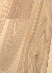 Esche – die neue Eiche bei Hain?