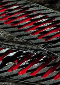 Birco Rinnenabdeckungen - inzwischen auch aus Holz