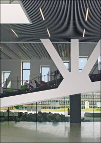 Objektbericht: NE Lamellendecken schaffen optisch akzentuierte Lernatmosphären