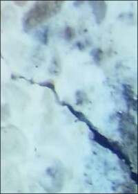 Bakterienhaltiger „Biobeton“ schließt spannungsbedingte Risse selbstständig