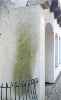 DBU: „Weiße Weste“ für Hausfassaden ohne Biozide und schädliche Haushaltsmittel