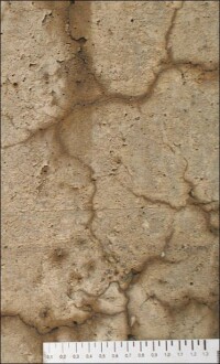 Dem Betonkrebs durch AAR auf der Spur