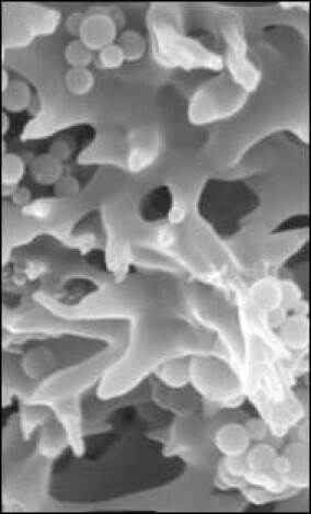 Filtern und Binden: Regenerierbare Membranadsorber gegen Schadstoffe im Wasser