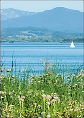 Mikrobiologisch unbedenklich: Rhepanol Flachdachbahn im Trinkwasserbereich einsetzbar