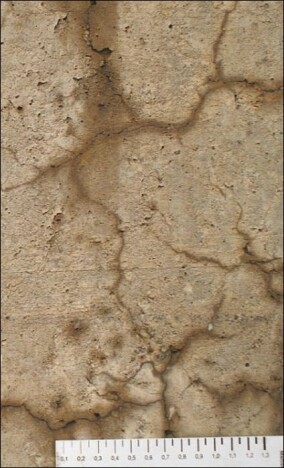 Dem Betonkrebs durch AAR auf der Spur