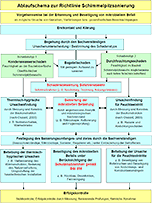 Ablaufschema zur Richtlinie Schimmelpilzsanierung - Vorgehensweise bei der Erkennung und Beseitigung von mikrobiellem Befall