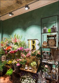 Händler denken um: Mittelstädte knöpfen Big 10 große Marktanteile ab