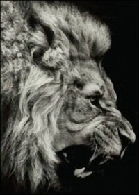 Glas lasern, anstatt es zu bedrucken, zu ätzen oder zu sandstrahlen