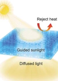 Wird Holz das neue Fensterglas - mit Vorteilen für's Raumklima?
