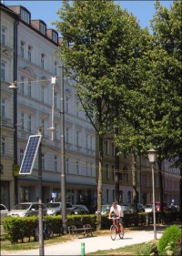 Bäume transpirieren für kühlere Städte - allerdings abhängig vom jeweiligen Umfeld