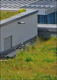 Maximale Verdunstungsleistung vom Klima-Gründach zur Kühlung von Städten