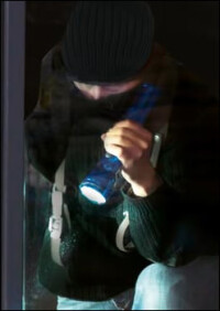 Der Sicherheitsmarkt in Deutschland