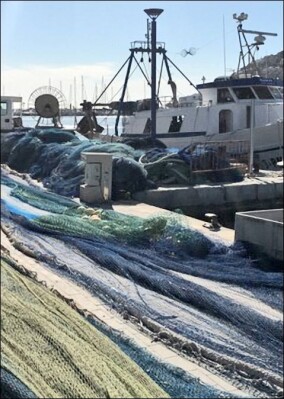 Auch Carpet Concept webt aus alten Fischernetzen neue Teppichböden