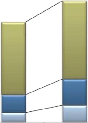 FM-Markt wird sich in den kommenden 5 Jahren grundlegend verändern