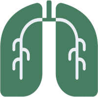 Atemwegserkrankungen - verursacht durch feuchte Wohnungen - kosten 82 Mrd. Euro/Jahr