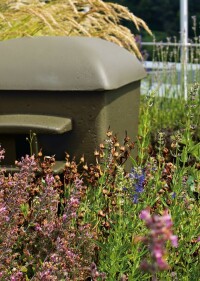 Biodiversität auf dem Dach