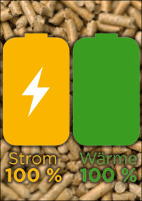 Strom aus Holz - Teil 1: ÖkoFEN will Häuser zu 100% stromautark machen