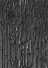 Karbonisiertes (verkohltes) Holz für innen und außen neu von Mocopinus