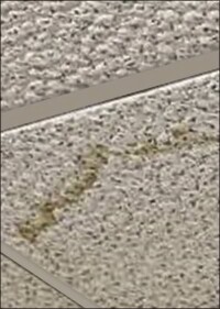 Soundcheck bestanden: Beschichtung Lucite IsoFinish für renovierungsbedürftige Akustikdecken