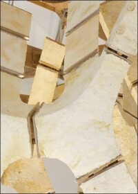 Nachwachsende Baustoffe für die Städte der Zukunft 